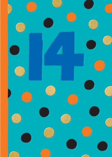 Picture of 14TH BIRTHDAY CARD MALE